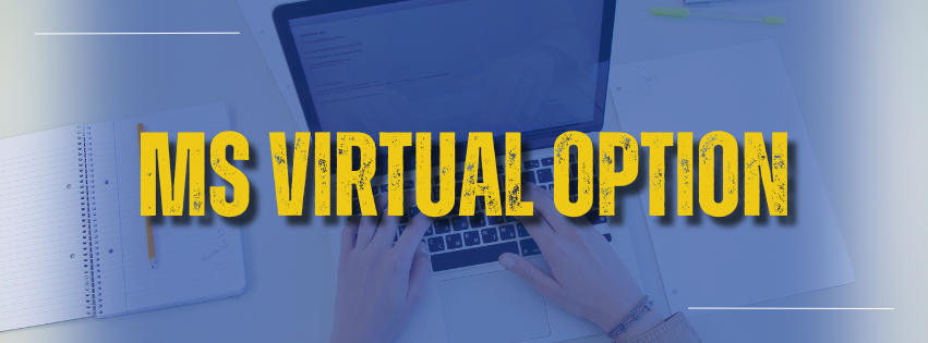 MS Virtual Option